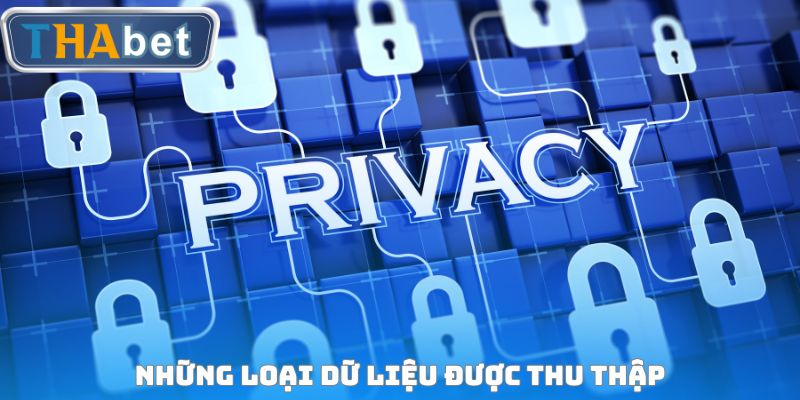 Các nhóm dữ liệu được hệ thống thu thập